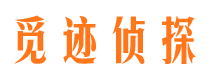 新野侦探